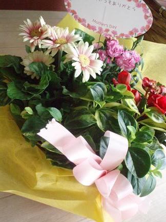 e0106098_2229790.jpg