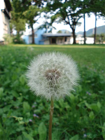 a0061599_74244.jpg