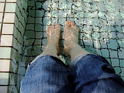 e0150101_1183452.jpg