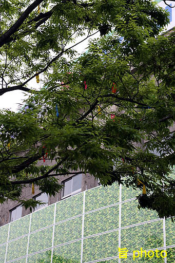 b0061004_20475374.jpg