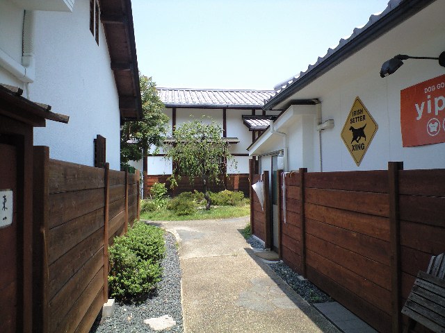 d0000607_19374486.jpg