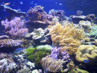a0015614_12124512.jpg