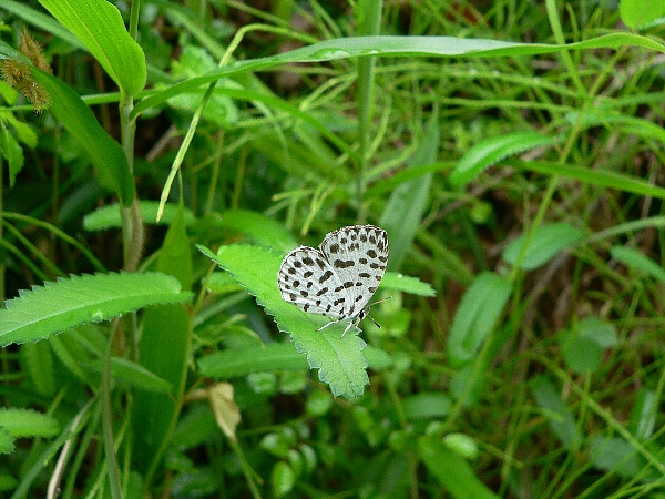 e0002314_11101774.jpg