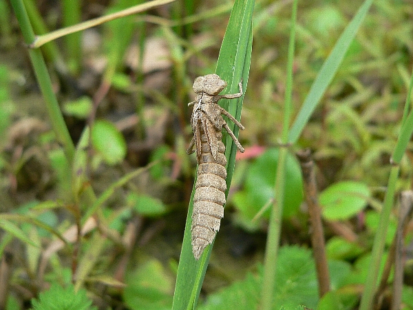 e0002314_1192145.jpg