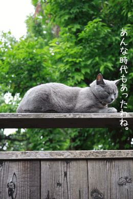 e0156015_0104260.gif