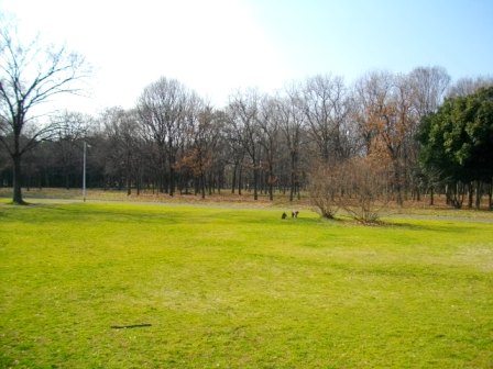 e0119017_10572622.jpg