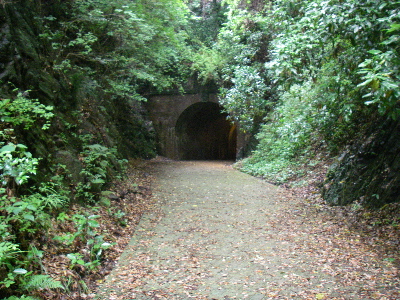b0113219_14434375.jpg