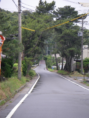 b0113219_14514454.jpg