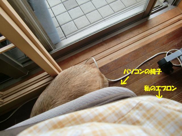 f0182121_8183896.jpg