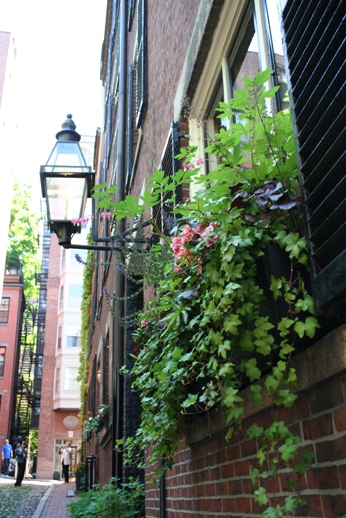 f0151222_1245391.jpg