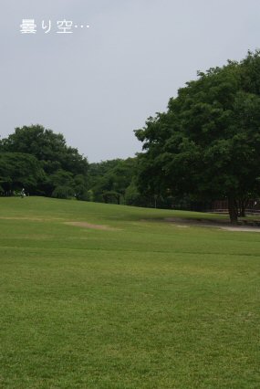 b0121223_181263.jpg