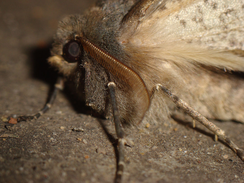 d0089024_14545136.jpg