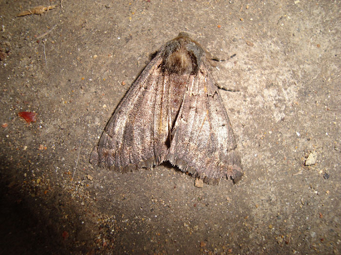 d0089024_14562914.jpg
