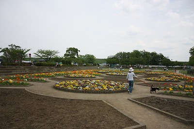 e0162524_12214825.jpg
