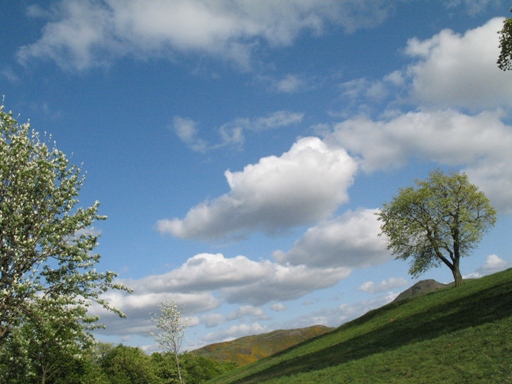 a0043326_026069.jpg
