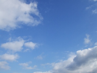 f0185329_22312339.jpg