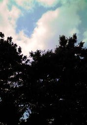 b0114333_17302814.jpg