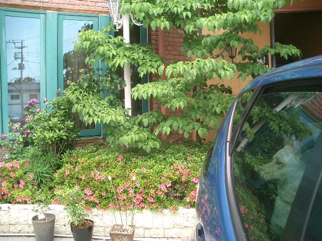 c0114833_2391158.jpg