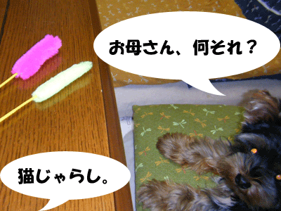 f0008935_15461520.gif