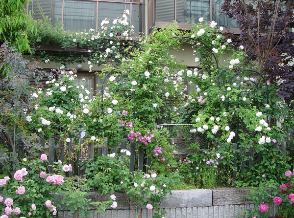 f0060535_04058.jpg