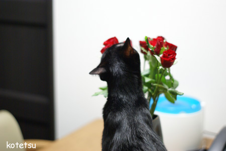 c0132438_22382518.jpg