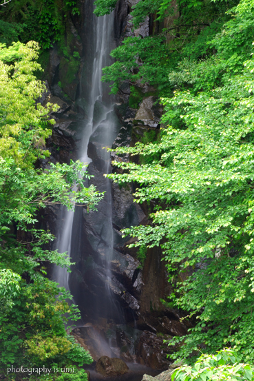 e0083238_21155170.jpg