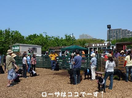 f0107145_220144.jpg