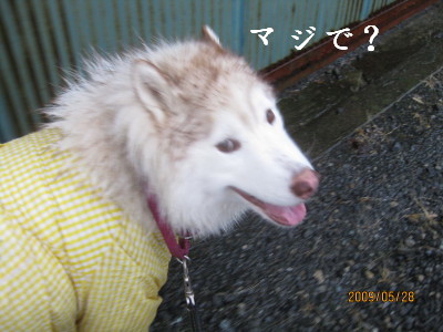 e0121548_21594389.jpg