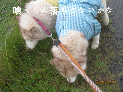 e0121548_2212112.jpg