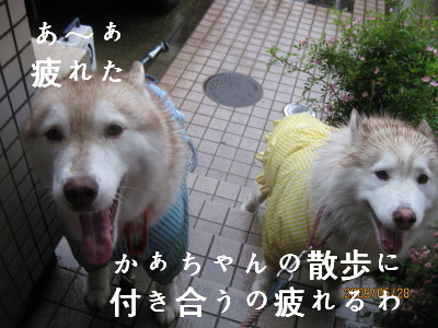 e0121548_222946100.jpg