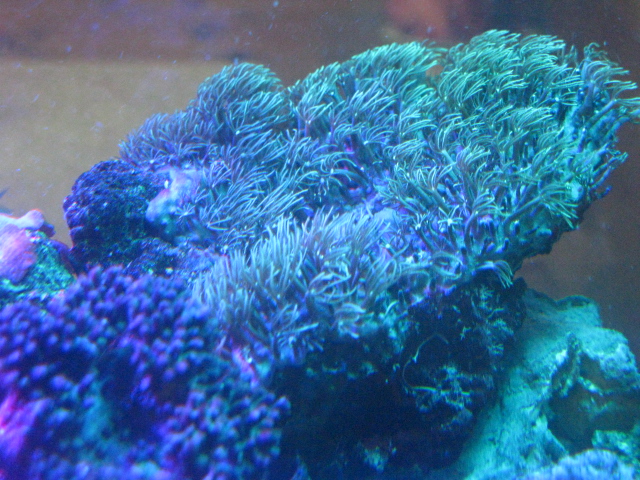 f0198950_20395035.jpg