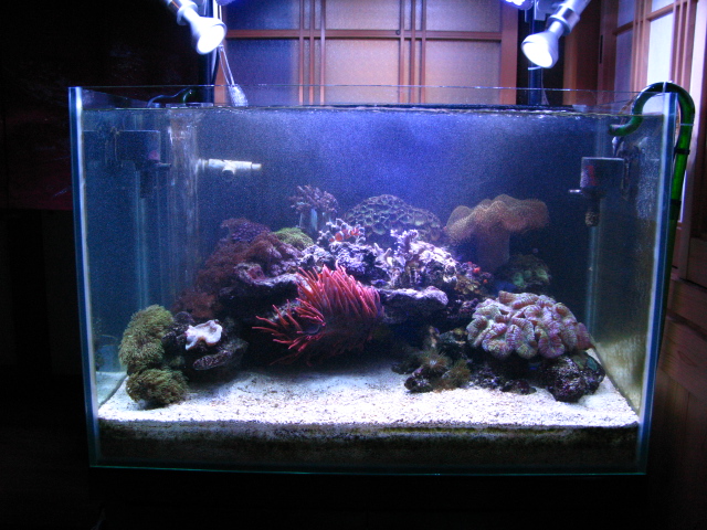 f0198950_20404910.jpg