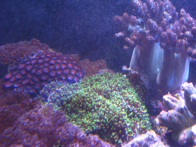 f0198950_20412978.jpg