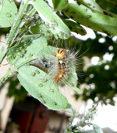 d0091754_129451.jpg