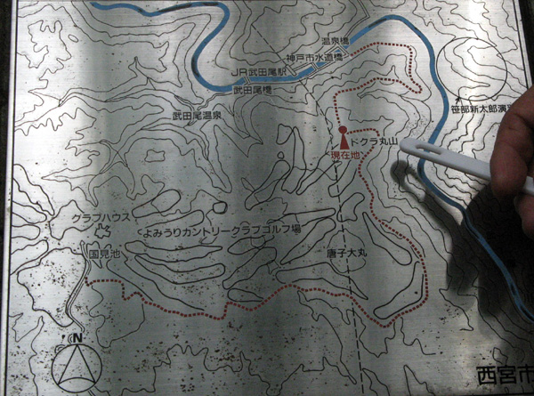 f0007956_17375321.jpg