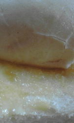 b0179262_155889.jpg