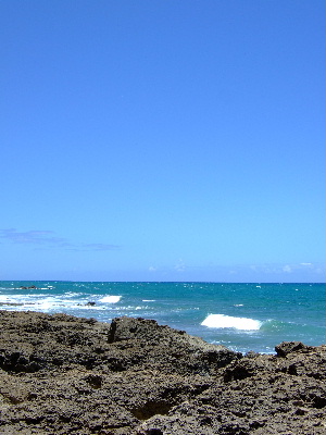 d0102664_0475162.jpg