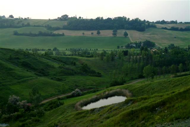 f0118968_6343897.jpg