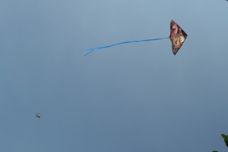 d0035269_4504327.jpg
