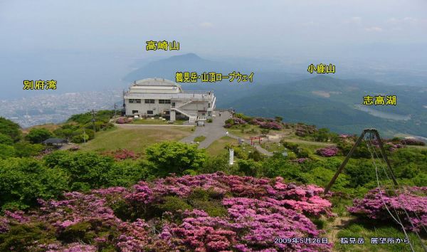 d0126573_7411351.jpg