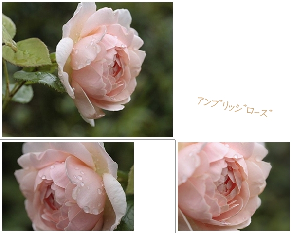a0079880_17294318.jpg