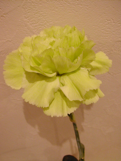 a0091181_19512749.jpg