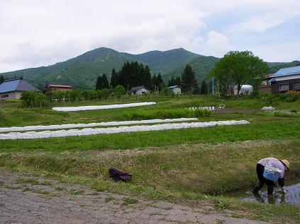 f0202990_21191939.jpg