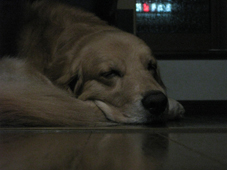 c0096393_2361489.jpg