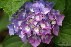 d0025894_23393451.jpg