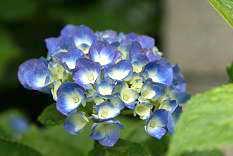 d0025894_2342640.jpg