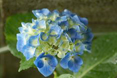 d0025894_23431470.jpg