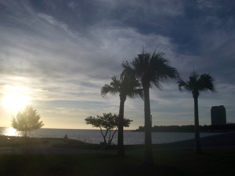 c0193396_10353242.jpg