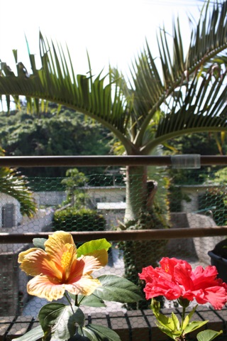 c0193396_10364529.jpg