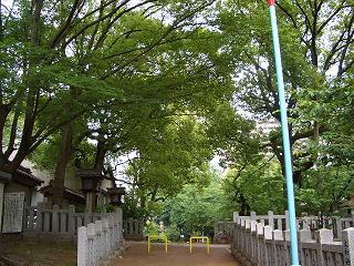 b0172497_2234454.jpg